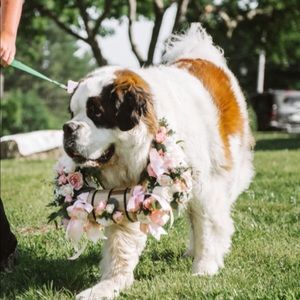 Meet your Posher, Sue